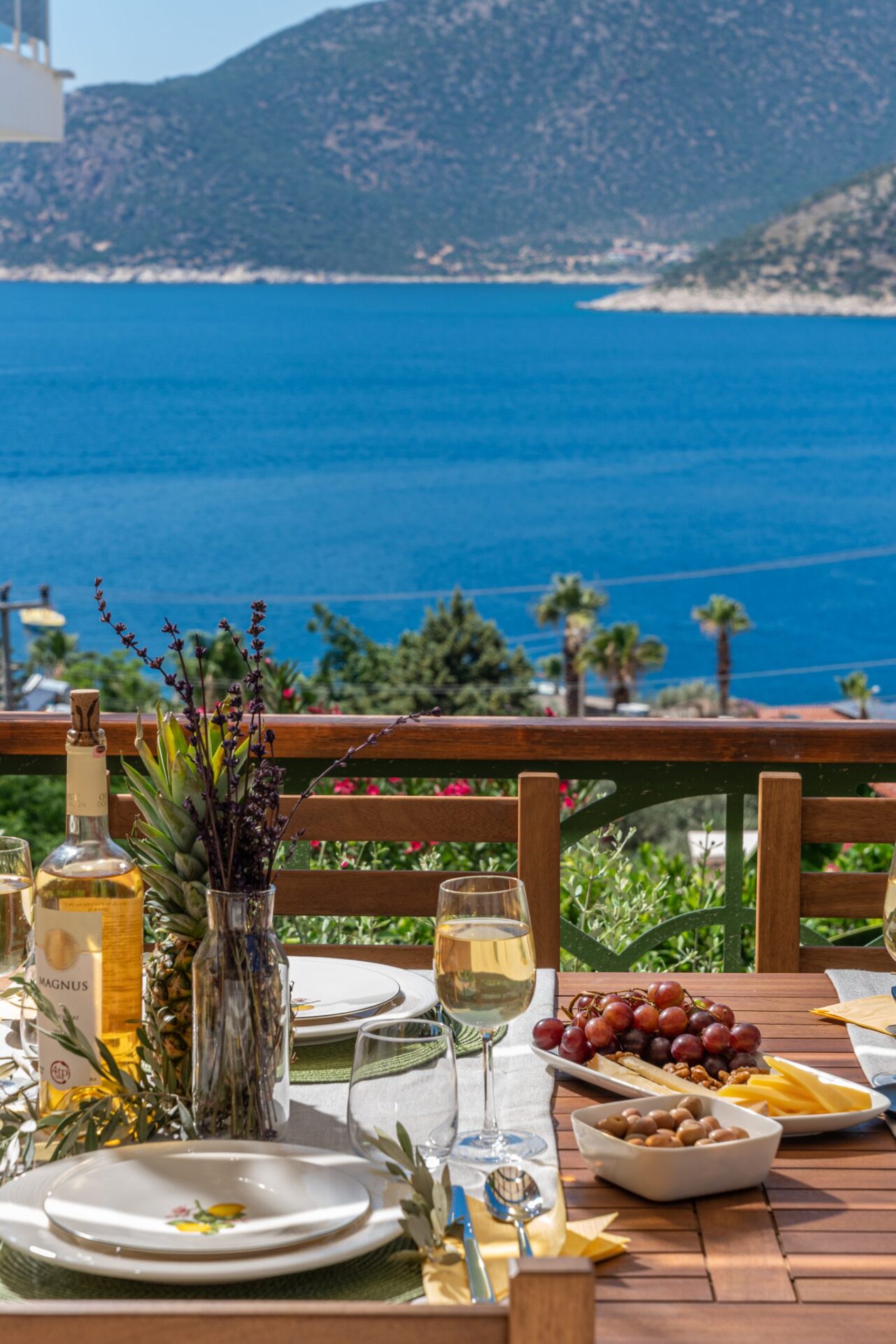Villa Grande, villas to rent in Kalkan, Turkey