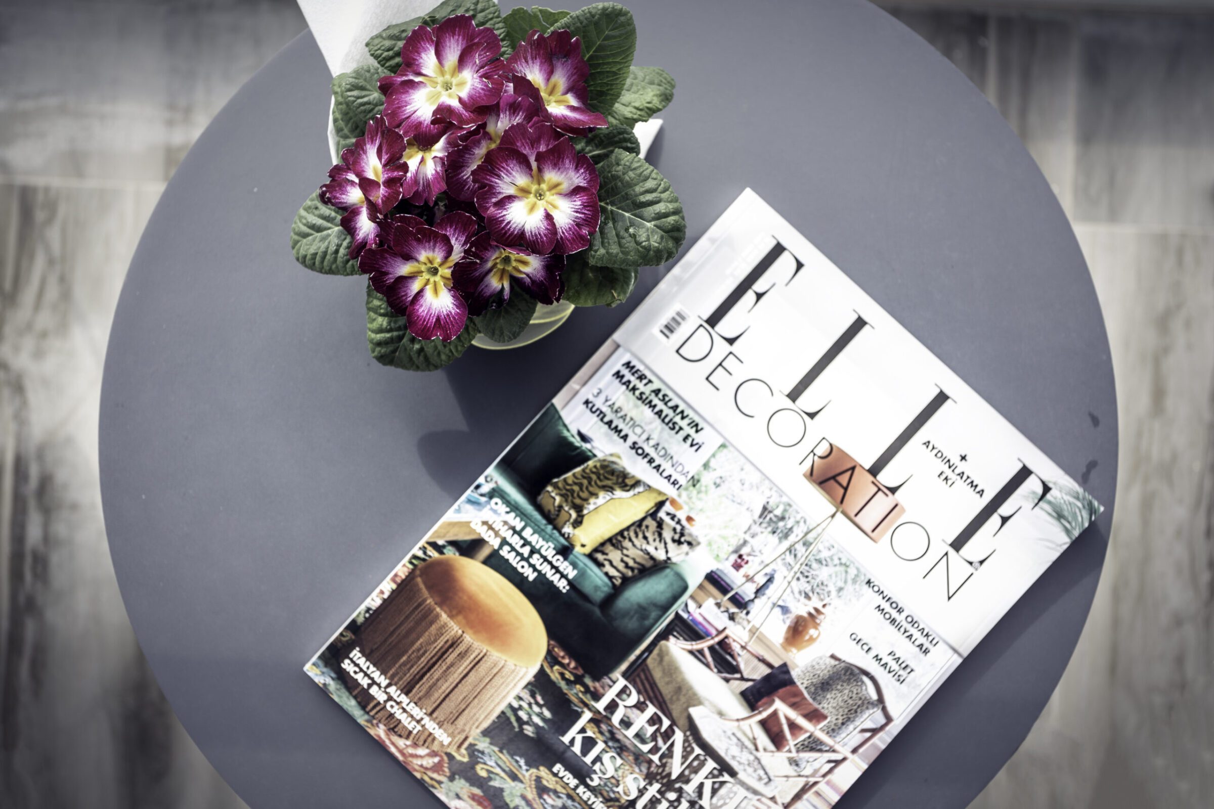 Entertainment in Villa Poyraz, villa holidays in Kalkan, Turkey