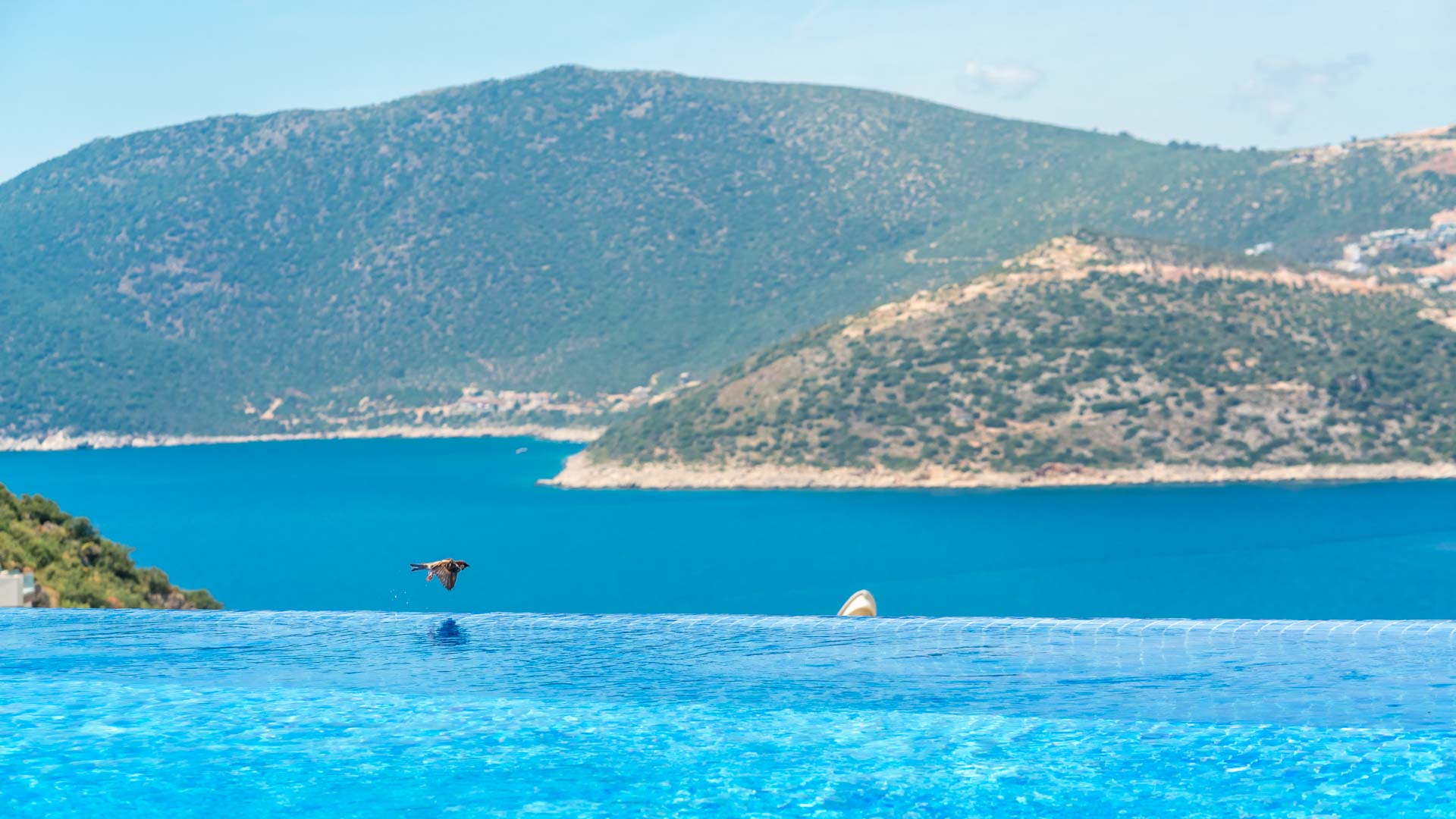 Infinity pool at Villa Elia, villa holidays in Kalkan, Turkey